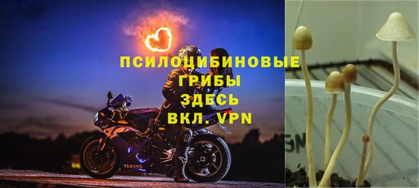 кокаин премиум Вяземский