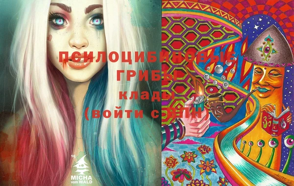 хмурый Вязники